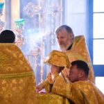 Литургия в Неделю 29-ю по Пятидесятнице, святых праотец в кафедральном Александро-Невского собора.