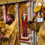 Литургия  в Неделю 15-ю по Пятидесятнице в кафедральном Александро-Невском соборе