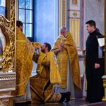 Богослужение  в праздник Сретения Владимирской иконы Божией Матери в кафедральном Александро-Невском соборе