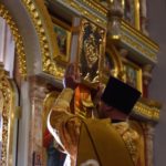 Литургия в Неделю 29-ю по Пятидесятнице, святых праотец в кафедральном Александро-Невского собора.