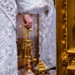 Литургия в кафедральном Свято-Александро-Невском соборе в праздник Крещения Господня.