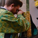 Литургия в праздник Входа Господня в Иерусалим в кафедральном Свято-Александро-Невском соборе.