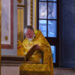Литургия в Неделю 25-ю по Пятидесятнице в кафедральном соборе святого благоверного князя Александра Невского