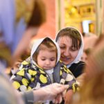 Литургия  в Неделю 27-ю по Пятидесятнице, праздник иконы Божией Матери «Знамение» в кафедральном Александро-Невском соборе .