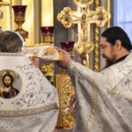 Божественная литургия в праздник Рождества Господа и Спаса нашего Иисуса Христа в кафедральном Александро-Невском соборе.