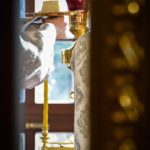 В НЕДЕЛЮ 29-Ю ПО ПЯТИДЕСЯТНИЦЕ, ПО РОЖДЕСТВЕ ХРИСТОВОМ БЫЛА СОВЕРШЕНА ВОСКРЕСНАЯ БОЖЕСТВЕННАЯ ЛИТУРГИЯ В КАФЕДРАЛЬНОМ АЛЕКСАНДРО-НЕВСКОМ СОБОРЕ Г. СИМФЕРОПОЛЯ.