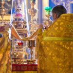 Литургия в Неделю 29-ю по Пятидесятнице, святых праотец в кафедральном Александро-Невского собора.