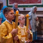 Богослужение  в праздник Сретения Владимирской иконы Божией Матери в кафедральном Александро-Невском соборе