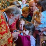 Божественная литургия в Неделю 6-ю по Пасхе в кафедральном Александро-Невском соборе.