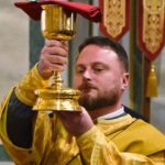 Литургия в Неделю 29-ю по Пятидесятнице, святых праотец в кафедральном Александро-Невского собора.