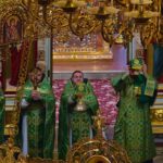 Литургия в праздник Входа Господня в Иерусалим в кафедральном Свято-Александро-Невском соборе.