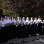 В кафедральном Александро-Невском соборе  состоялись престольные торжества