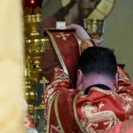 Божественная литургия в день памяти священномученика Порфирия, епископа Симферопольского и всех  новомучеников Крымских в кафедральном Александро-Невском соборе г. Симферополя.