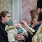 В Неделю 27-ю по Пятидесятнице в Александро-Невском кафедральном соборе прошли воскресные богослужения