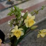 В праздник Входа Господня в Иерусалим  епископ Бахчисарайский Каллиник совершил праздничную Божественную литургию в кафедральном Александро-Невском соборе г. Симферополя.