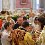 В Александро-Невском кафедральном соборе прошли богослужения в Неделю 1-ю по Пятидесятнице, Всех святых