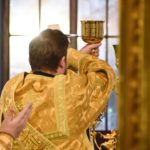 Литургия в Неделю 28-ю по Пятидесятнице, день памяти великомученицы Варвары в кафедральном Александро-Невском соборе.