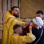 Литургия в Неделю 7-ю по Пятидесятнице, в день рождества святителя Николая, архиепископа Мир Ликийских в кафедральном Александро-Невском соборе