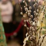 В канун праздника Входа Господня в Иерусалим Митрополит Симферопольский и Крымский Лазарь возглавил всенощное бдение в кафедральном Александро-Невском г. Симферополя.