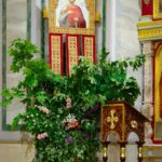 Александро-Невский кафедральный собор г. Симферополя преобразился к празднику Святой Троицы