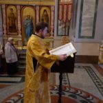 Литургия  в Неделю мясопустную, о Страшном Суде в кафедральном Александро-Невском соборе.