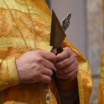 Преосвященный Евфимий, епископ Луховицкий возглавил Литургию в Неделю 16-ю по Пятидесятниц  в кафедральном Свято-Александро-Невском соборе г. Симферополя.