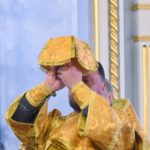 Литургия в Неделю 29-ю по Пятидесятнице, святых праотец в кафедральном Александро-Невского собора.