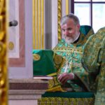 Литургия в праздник Входа Господня в Иерусалим в кафедральном Свято-Александро-Невском соборе.