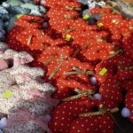 По благословению Митрополита Симферопольского и Крымского Лазаря проведена благотворительная ярмарка «В ожидании Пасхи».