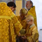 Литургия в Неделю 29-ю по Пятидесятнице, святых праотец в кафедральном Александро-Невского собора.