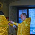 Литургия  день празднования Собора вселенских учителей и святителей Василия Великого, Григория Богослова и Иоанна Златоустого в кафедральном Александро-Невском соборе.